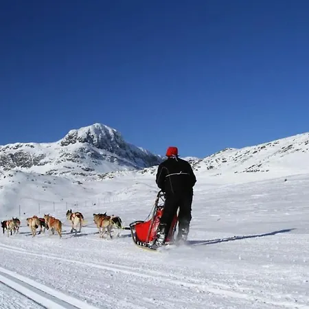 Peaceful Oasis. Panoramic Forest-&mountain View. Sauna. Beitostolen