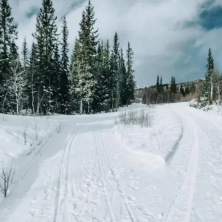 Peaceful Oasis. Panoramic Forest- & Mountain View. Sauna. Beitostolen