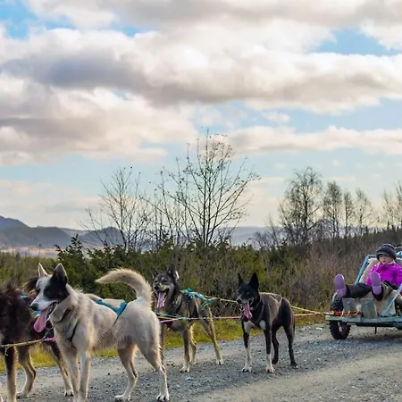 Chalet Peaceful Oasis. Panoramic Forest-&mountain View. Sauna. *