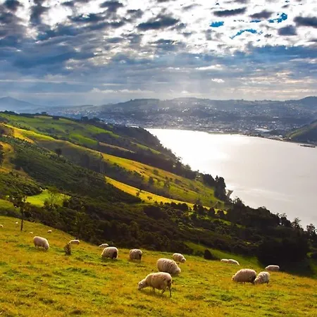 Peaceful Oasis. Panoramic Forest- & Mountain View. Sauna. 木屋 *